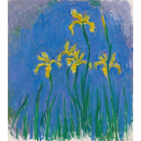  Obraz na płótnie 50x60cm Claude Monet Irysy