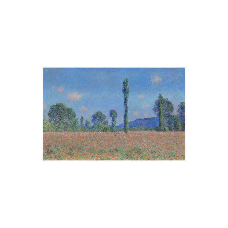  Obraz na płótnie 50x30cm Claude Monet Pole maków