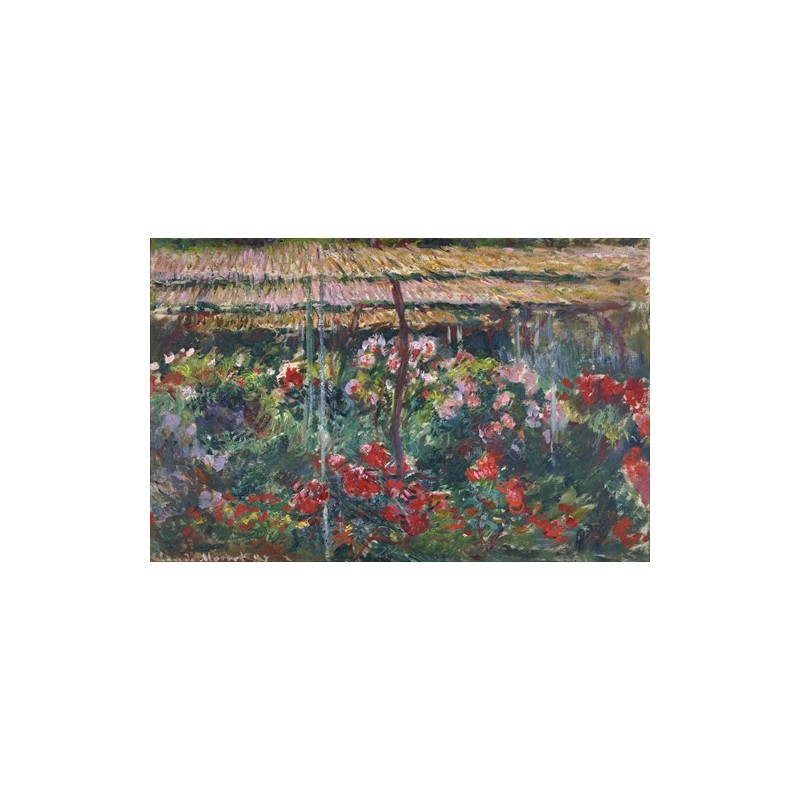  Obraz na płótnie 50x30cm Claude Monet Ogród piwonii