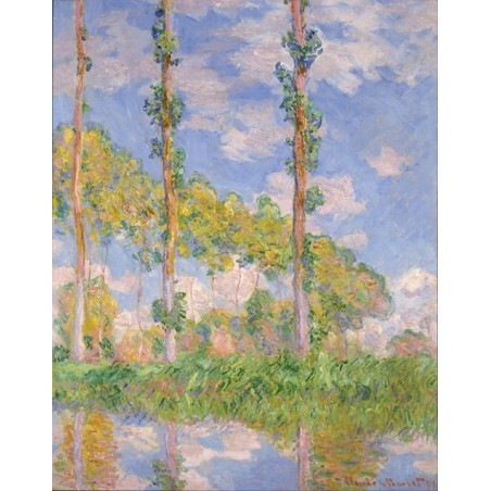  Obraz na płótnie 50x60cm Claude Monet Topole w słońcu