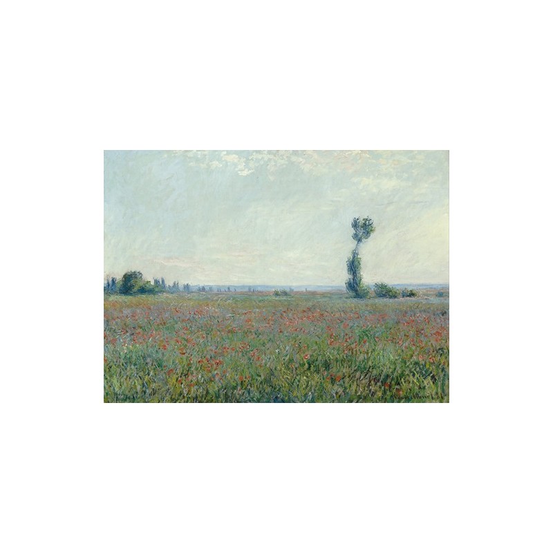  Obraz na płótnie 50x35cm Claude Monet Pole maków