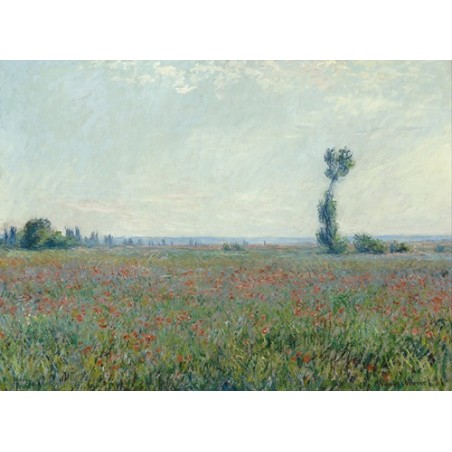  Obraz na płótnie 50x35cm Claude Monet Pole maków