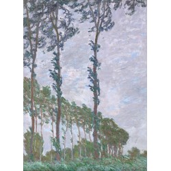  Obraz na płótnie 50x70cm Claude Monet Topole efekt wiatru