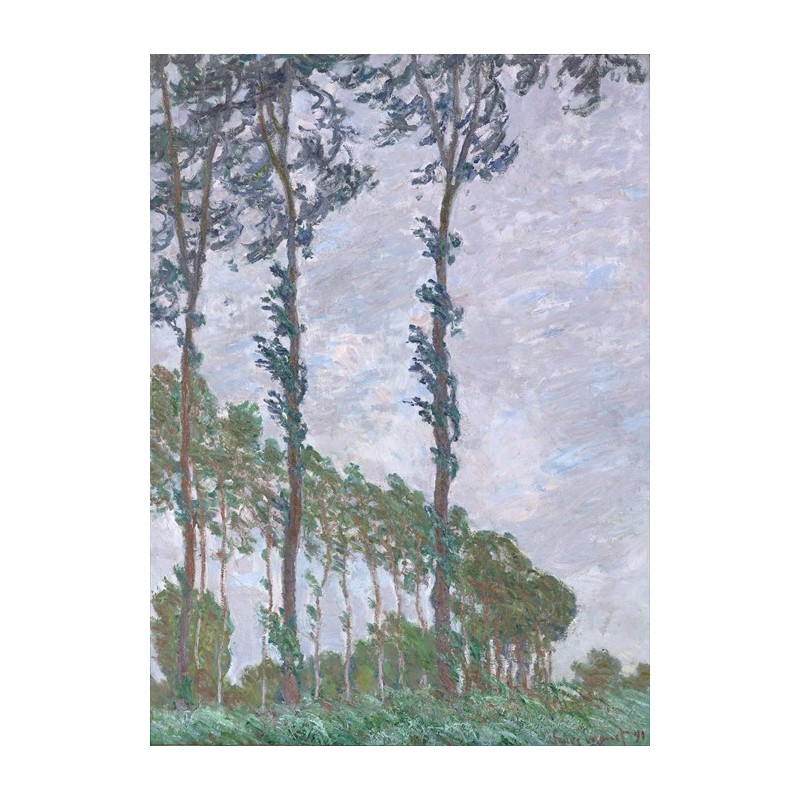  Obraz na płótnie 50x70cm Claude Monet Topole efekt wiatru