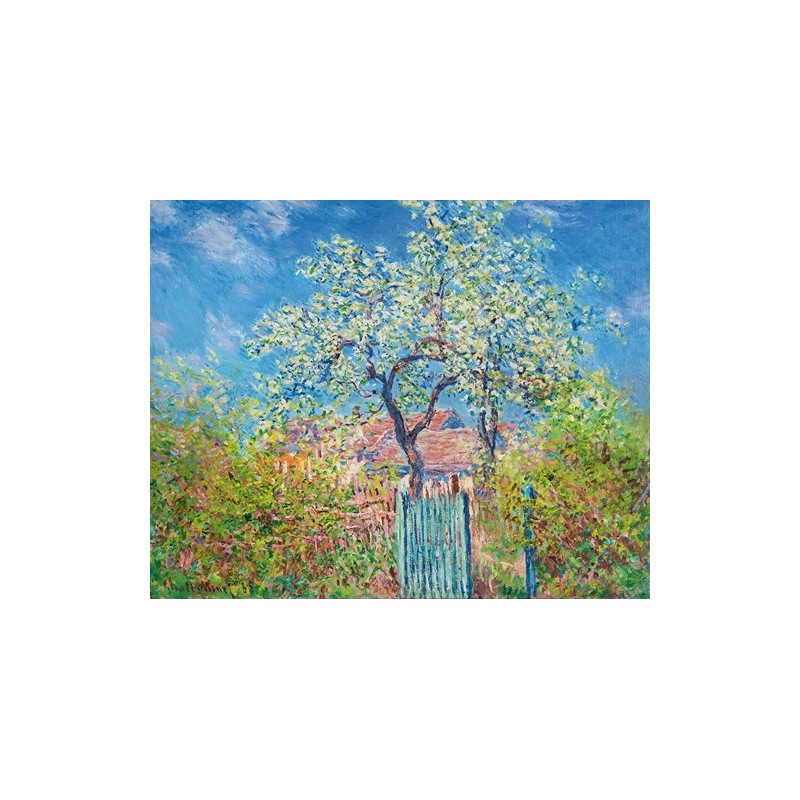  Obraz na płótnie 50x40cm Claude Monet Grusza w kwiatach