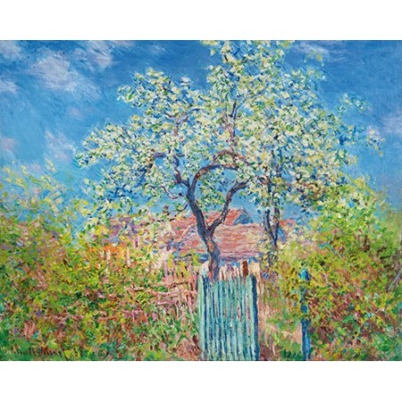  Obraz na płótnie 50x40cm Claude Monet Grusza w kwiatach