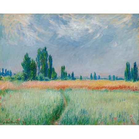  Obraz na płótnie 50x40cm Claude Monet Pole pszenicy