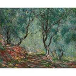  Obraz na płótnie 50x40cm Claude Monet Gaj oliwny w ogrodzie Moreno