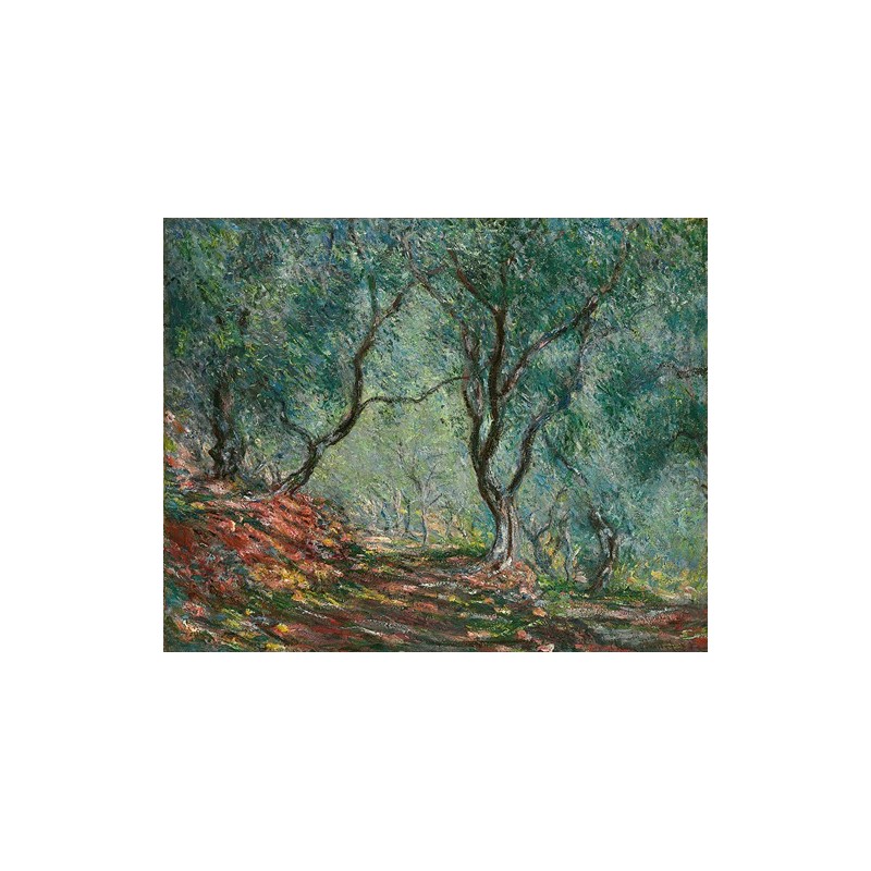  Obraz na płótnie 50x40cm Claude Monet Gaj oliwny w ogrodzie Moreno