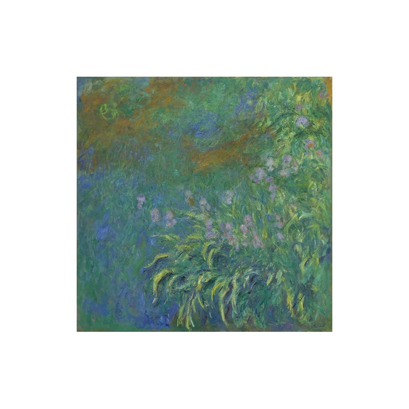  Obraz na płótnie 50x50cm Claude Monet Irysy