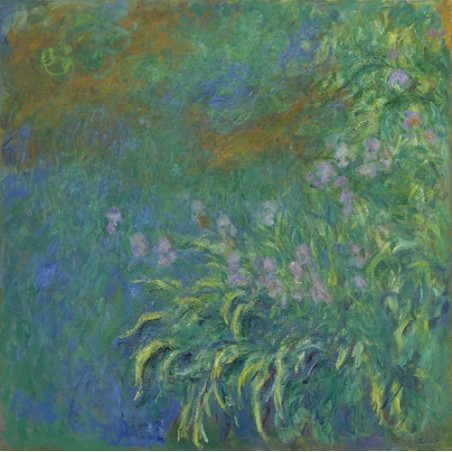  Obraz na płótnie 50x50cm Claude Monet Irysy