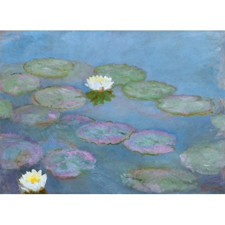  Obraz na płótnie 50x35cm Claude Monet Nenufary