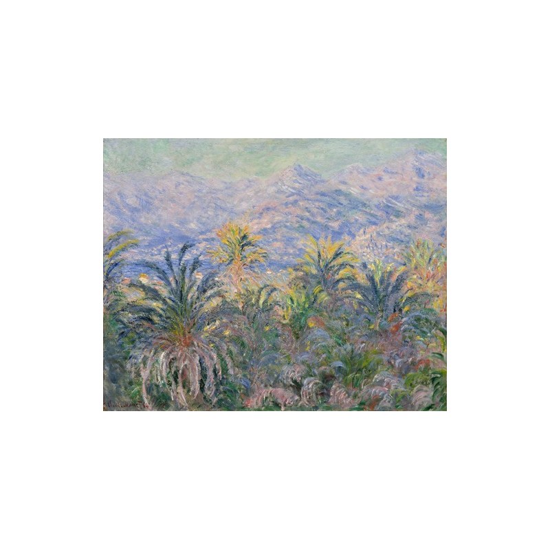  Obraz na płótnie 50x40cm Claude Monet Palmy w Bordigherze