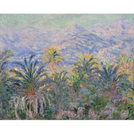  Obraz na płótnie 50x40cm Claude Monet Palmy w Bordigherze
