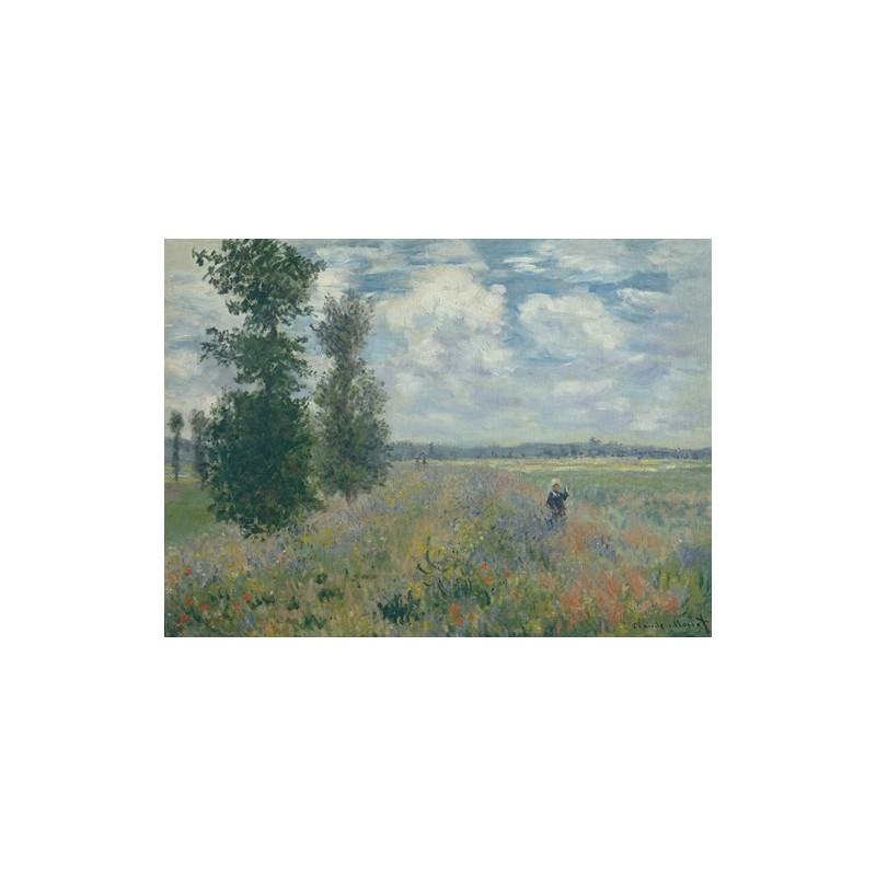  Obraz na płótnie 50x35cm Claude Monet Pola maków w pobliżu Argenteuil