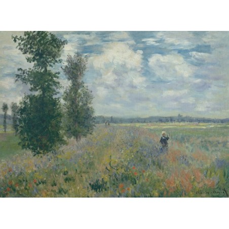  Obraz na płótnie 50x35cm Claude Monet Pola maków w pobliżu Argenteuil