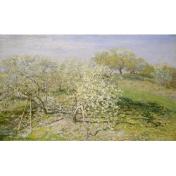  Obraz na płótnie 50x30cm Claude Monet Wiosna