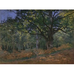  Obraz na płótnie 50x35cm Claude Monet Dąb