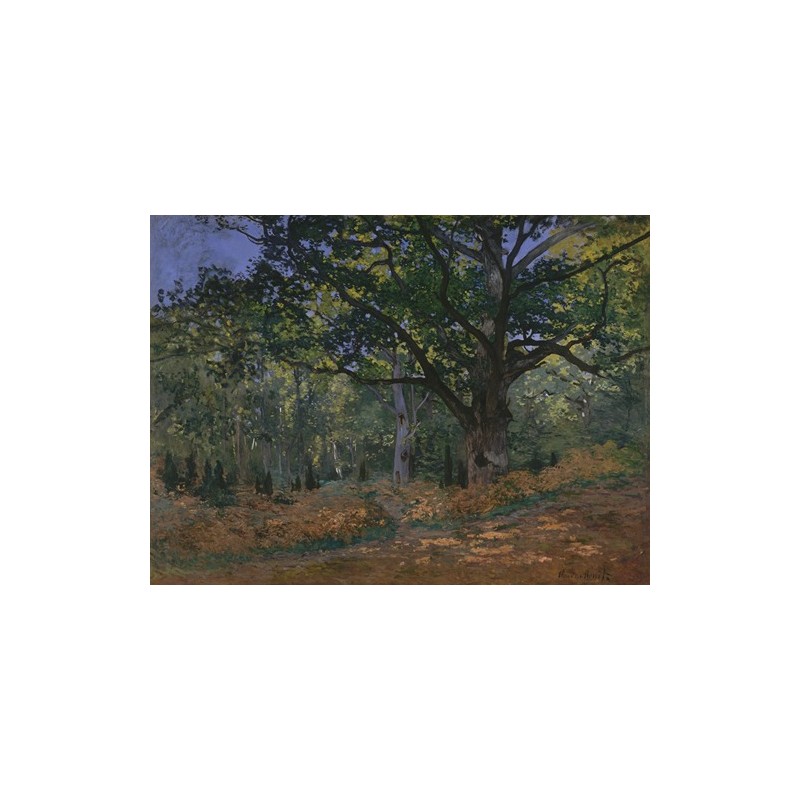  Obraz na płótnie 50x35cm Claude Monet Dąb