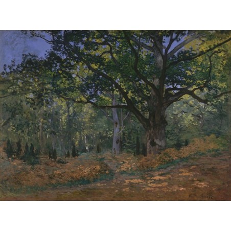  Obraz na płótnie 50x35cm Claude Monet Dąb