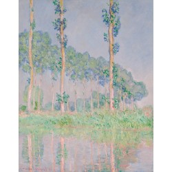  Obraz na płótnie 50x60cm Claude Monet Topole w różu