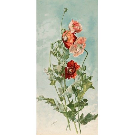  Obraz na płótnie 40x80cm Thaddeus Welch Maki