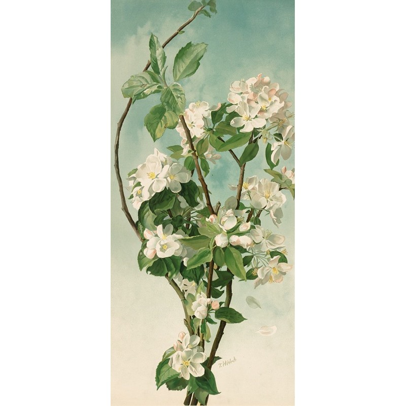  Obraz na płótnie 40x80cm Thaddeus Welch Kwiaty jabłoni