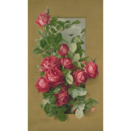  Obraz na płótnie 50x80cm Paul de Longpre Czerwone róże wyrastające przez okno