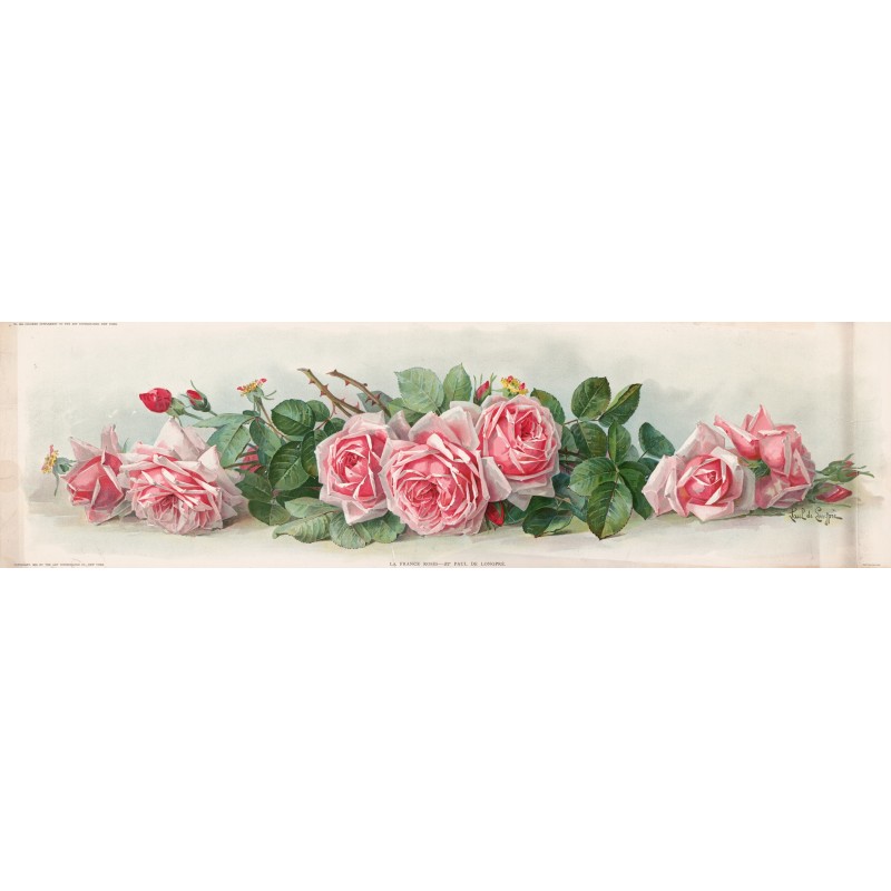  Obraz na płótnie 40x140cm Paul de Longpre Francuskie róże
