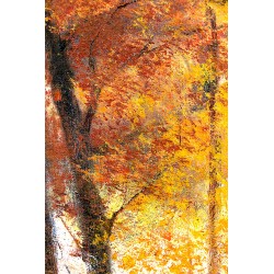  Obraz olejny ręcznie malowany Pejzaż leśny jesienią 50x70cm