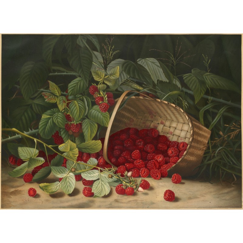  Obraz na płótnie Virginia Granberry Maliny 40x55 cm