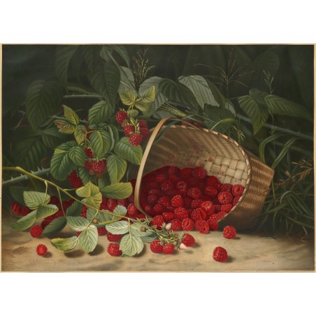  Obraz na płótnie Virginia Granberry Maliny 40x55 cm