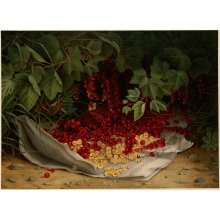  Obraz na płótnie Virginia Granberry Porzeczki 40x55 cm