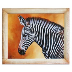  Obraz olejny ręcznie malowany 53x64cm Zebra