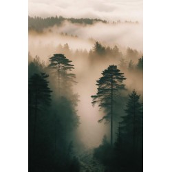  Obraz na płótnie Mglisty las