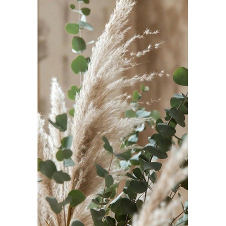  Obraz na płótnie Trawy pampasowe i eukaliptus